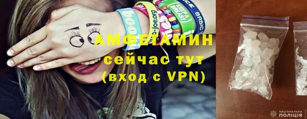 прущие грибы Пестово