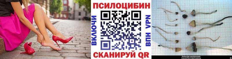 Псилоцибиновые грибы Psilocybine cubensis Златоуст