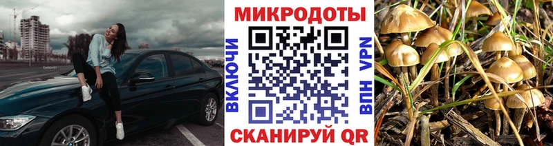 Псилоцибиновые грибы ЛСД  kraken зеркало  Златоуст  купить закладку 